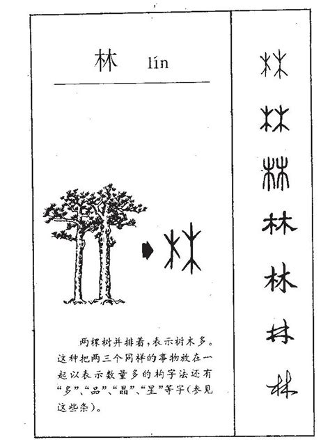 林字五行|康熙字典：林的字义解释，拼音，笔画，五行属性，林的起名寓意。